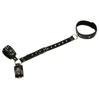 Elysiana™ | Restraints