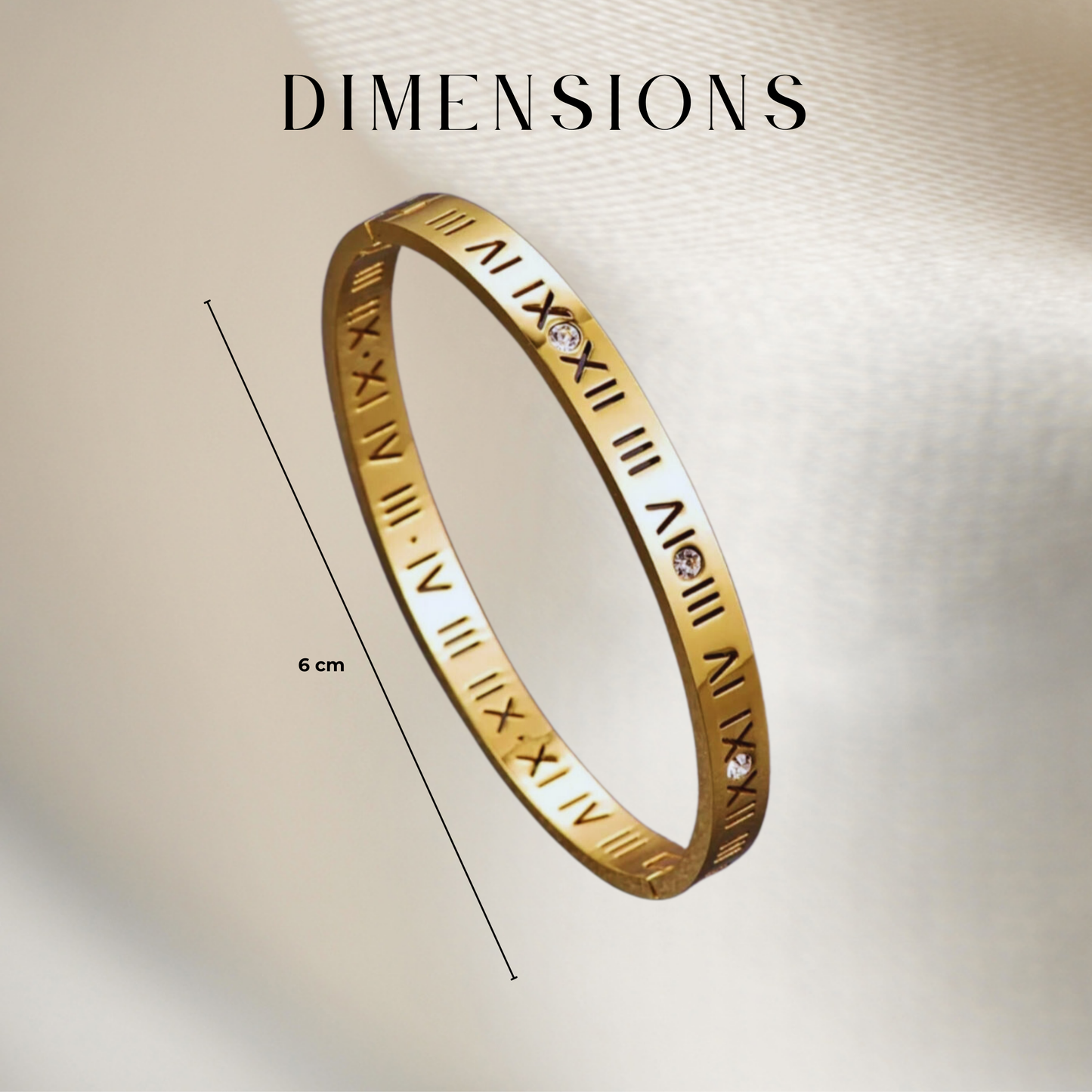 Titanium Armband met Romeinse Cijfers